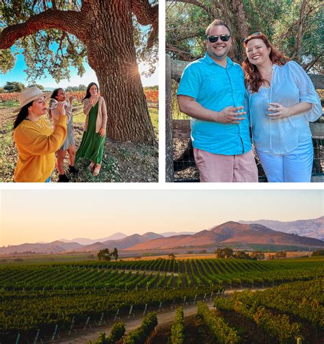 Santa Ynez Wine Tours - Best Santa Ynez Wineries - Book Now!