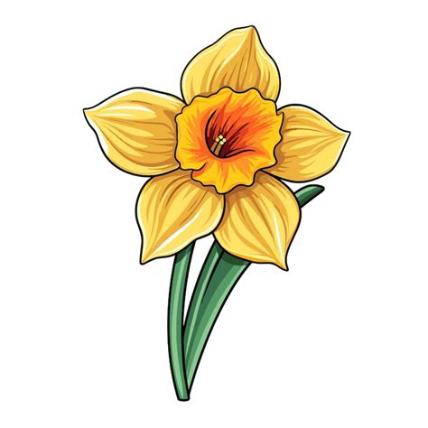 Daffodil flower svg Images - Free Download on Freepik