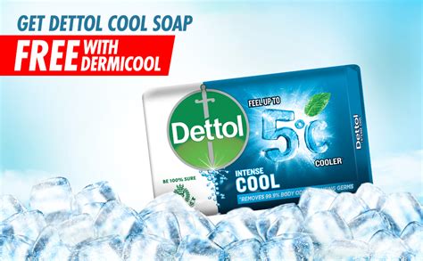 Dermicool Menthol Regular Prickly Heat Powder – 150g (Pack of 2 ...
