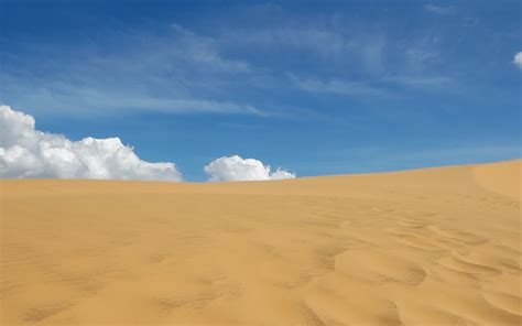 Médanos de Coro en Venezuela | Guía 2024 andaventura.com.