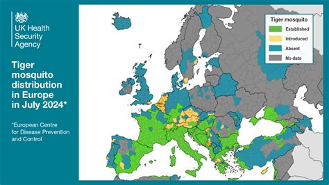 How we protect the UK from vector-borne diseases like dengue and West Nile virus – UK Health ...