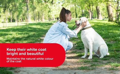 Buy Beaphar White Dog Shampoo with Green Tea Extract, Aloe Vera | Soft ...