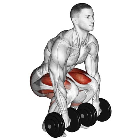 Dumbbell Romanian Deadlift Guide: Techniques & Form 2026