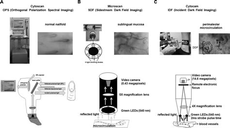 Image result for CytoScan Microarray OncoScan