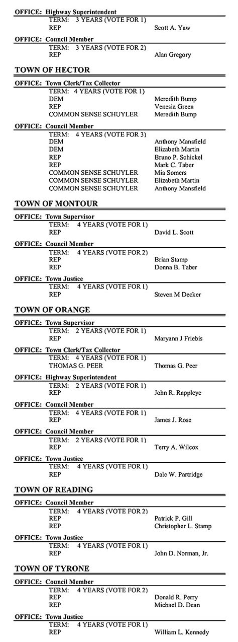 The Odessa File: Government of Schuyler County