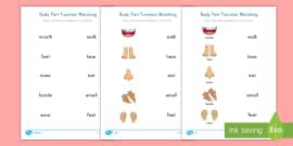 Human Body Parts Labelling Activity - Body Parts Worksheet
