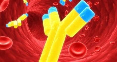 Scientists find key to end autoimmune diseases | TheHealthSite.com