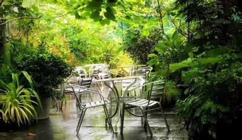 The Best Restaurants With Outdoor Seating In Chennai | WhatsHot Chennai