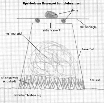 How to Make a Bumble Bee House 的图像结果