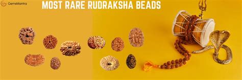 Most Rare Rudraksha: Unveil Sacred Spiritual Energy