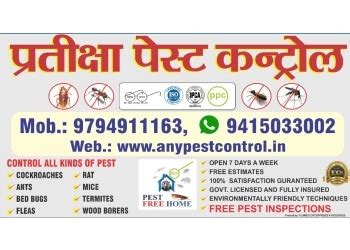3 Best Pest Control Services in Lucknow - Expert Recommendations