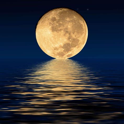 Artist's Concept Of A Full Moon At Night Wall art by Elena Duvernay | Elephant Stock