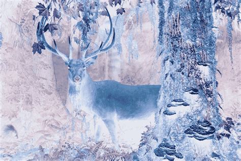 Image result for Pytorch Pic