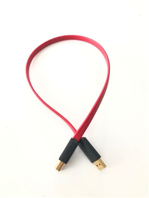 Image result for Wireworld USB Audio Cable
