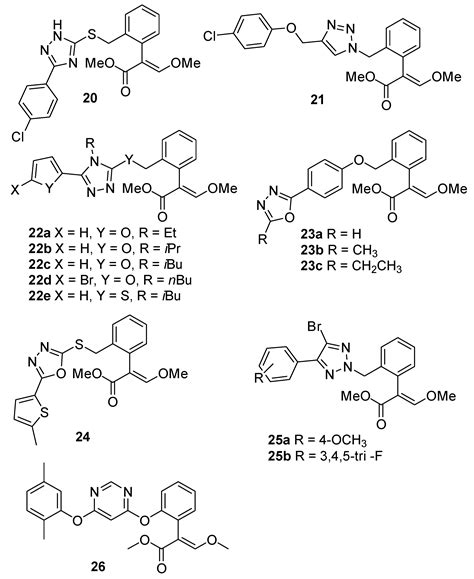 Natural Compound-Derived Cytochrome bc1 Complex Inhibitors as ...