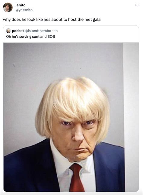 The Best Trump Mugshot Memes and Edits | eBaum's World