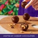 Cadbury Studio Signature Pralines Brownie Aux Noix Chocolate Gift Pack ...