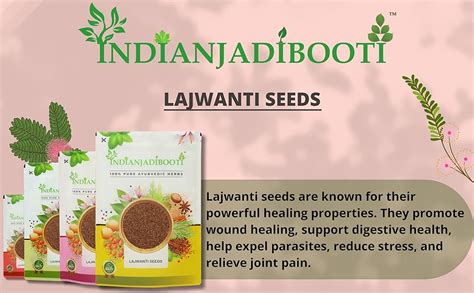 IndianJadiBooti Lajwanti Seeds - Lajvanti Beej - Chui Mui - Mimosa ...
