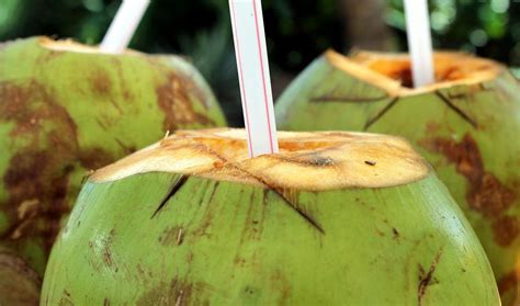 manfaat air kelapa muda dr zaidul akbar