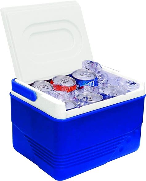 Buy GION 25 Liter Insulated Chiller Ice Box for Ice Cubes, Small Items ...