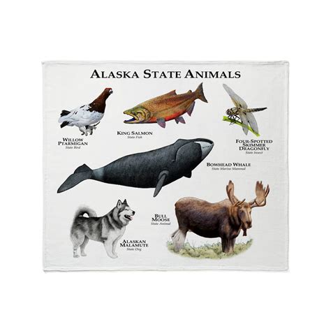 Alaska State Fair Animals