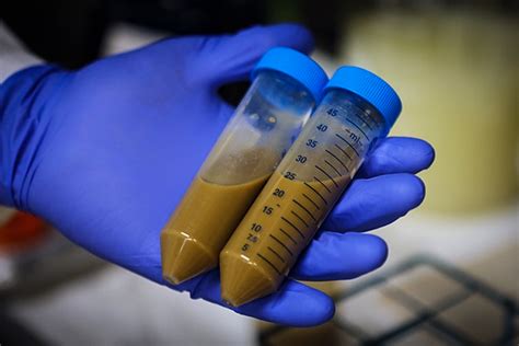 Poop Science 的图像结果