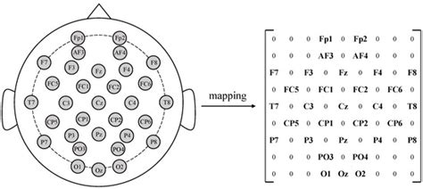 EEG-Based Emotion Recognition via Knowledge-Integrated Interpretable Method