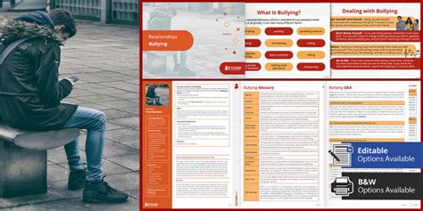 Bullying KS3/KS4 Lesson Pack | Beyond (teacher made)