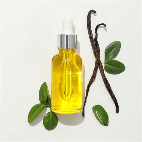 Vanilla Creme Butter Cream Soap | Earth Rhythm