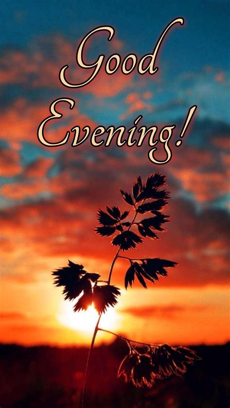 Good Evening Sunset with Silhouette