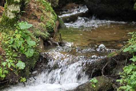 Image result for Example of a Spring Water Source