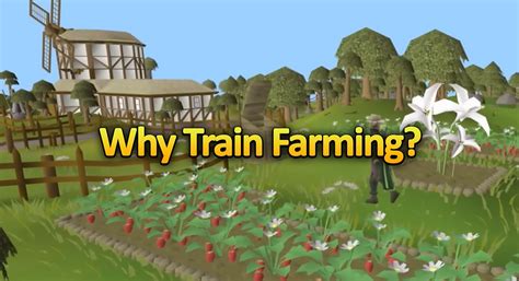 Image result for OSRS Farming Run Guide
