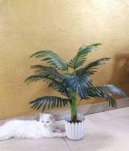 Olive Trees Artificial Areca Palm Tree WITHOUT POT Plant 85 CM ...