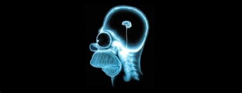 MRI Brain Scan Sounds - “COMMONROOM”gnarly