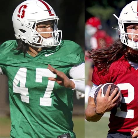 BYU football lands the Bachmeier brothers from Stanford - BYU Daily ...