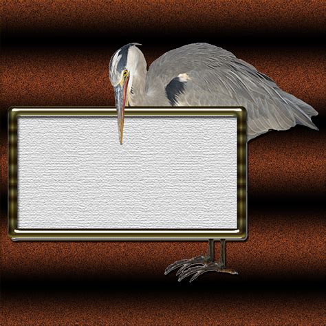 Photoshop creative write text free image download