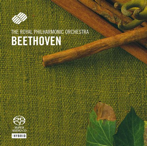 Beethoven: Symphony No 6: Rpo: Amazon.in: Music}