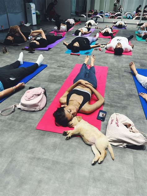 Experience pet yoga at Delhi based yoga studio Paws and Poses