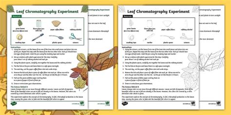 Leaf Chromatography Experiment for 3rd-5th Grade - Twinkl