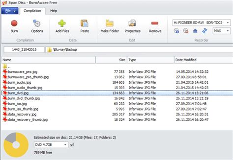 Image result for Ruby Burning Software