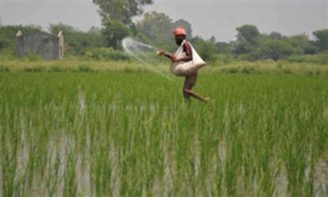 UN Report Highlights Public Health Risks from Rising Nitrous Oxide ...