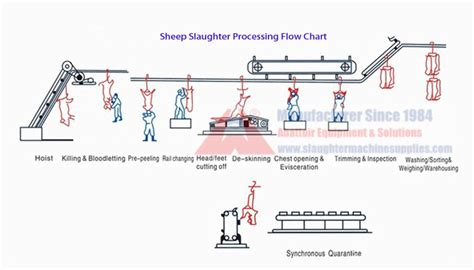 Slaughter Process 的图像结果