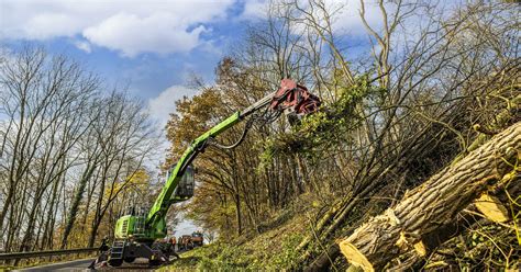 Image result for Telehandler Tree Care