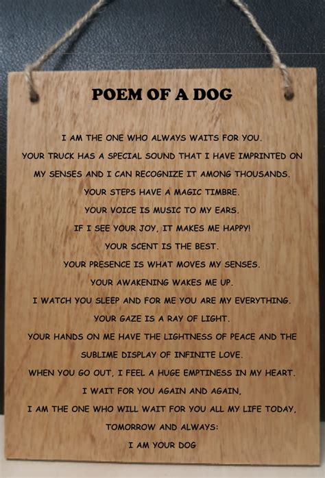 Doggy Doggy Poem