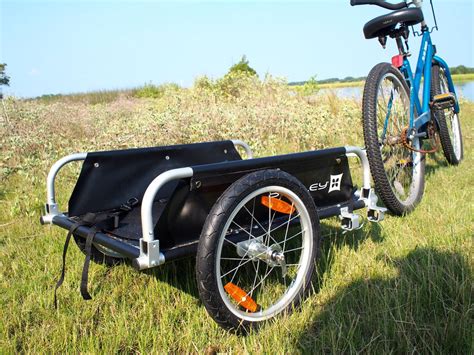 Bike Trailer Reviews 的图像结果