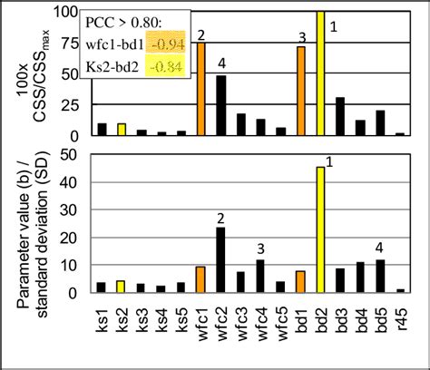Image result for Largest CSS File