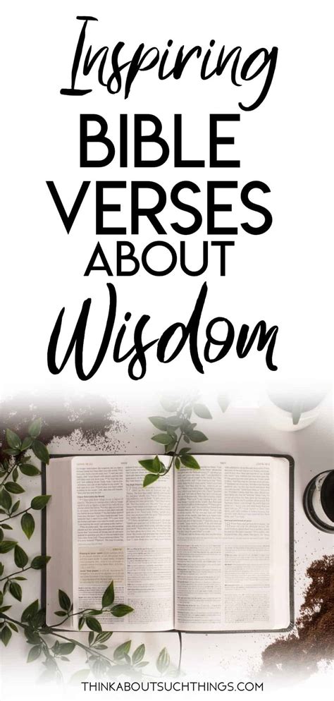 Bible Scriptures Wisdom 的图像结果