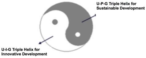 Triple Helix Twins: A Framework for Achieving Innovation and UN ...