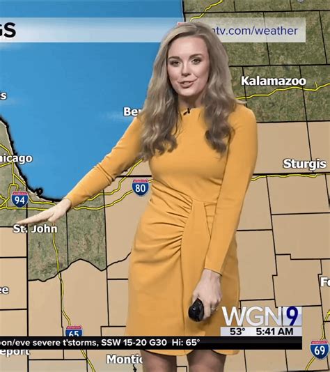 WGN Reporters 的图像结果