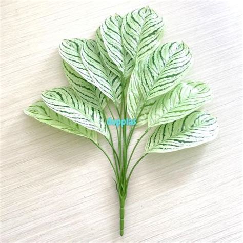Jual Daun Calathea X12 Semi Latex Artificial Dekorasi Tanaman Hias ...